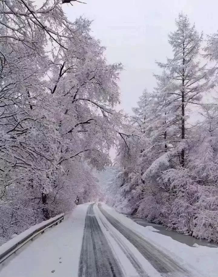 东北吉林这里大雪已过膝!这已是第三场雪了.