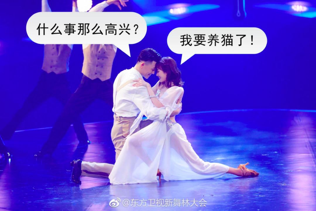 毛晓彤&李孟举