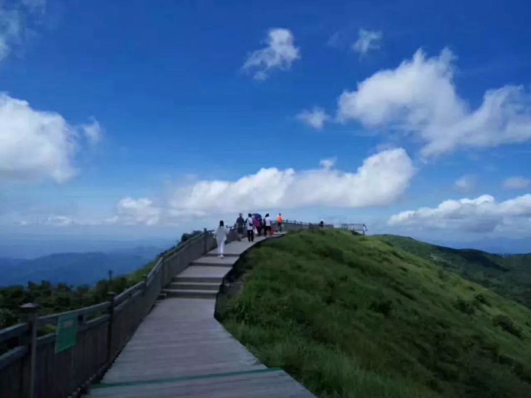 赏心悦目八闽最高峰美景(还有烧烤篝火等你嗨)精品两日游_金铙山