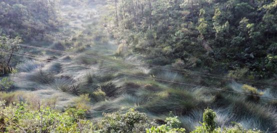 珠海停车石景山收费标准_珠海石景山公园有停车场吗_珠海石景山停车场