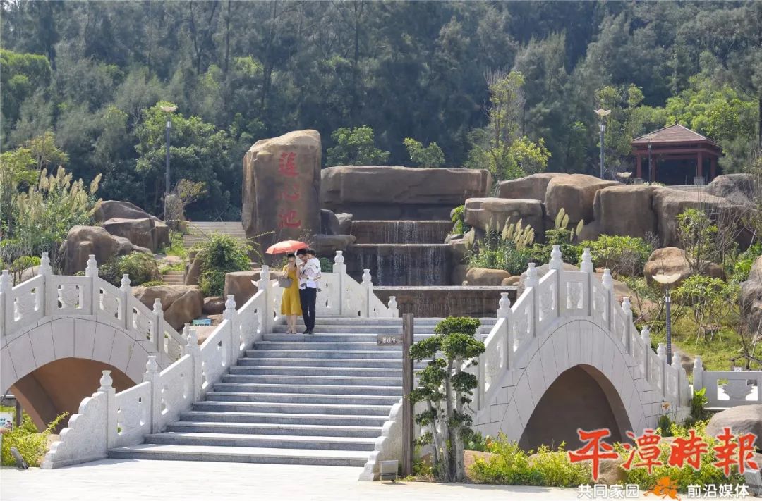 除了大量的新树种,莲花山公园以"莲花蕴·平潭韵"为主题,近80%的面积