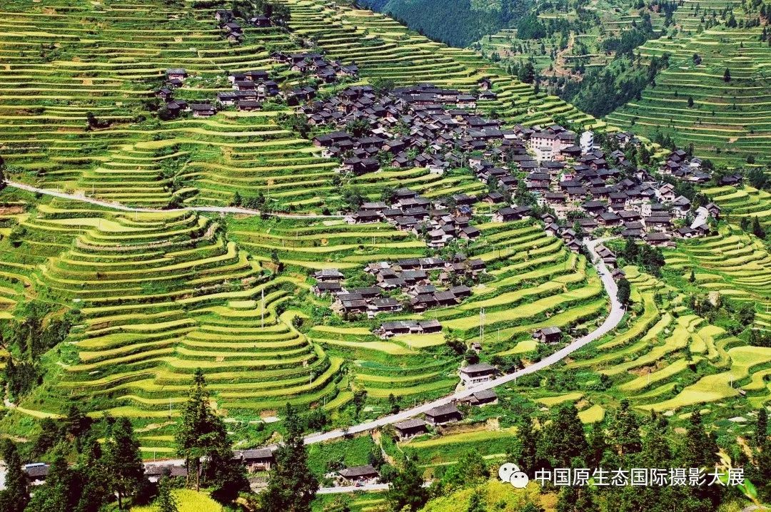 这个国庆来雷山 拍丰收 看展览任你挑选_贵州