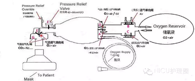 潮式呼吸发生的原理是什么_什么是腹式呼吸图解(2)