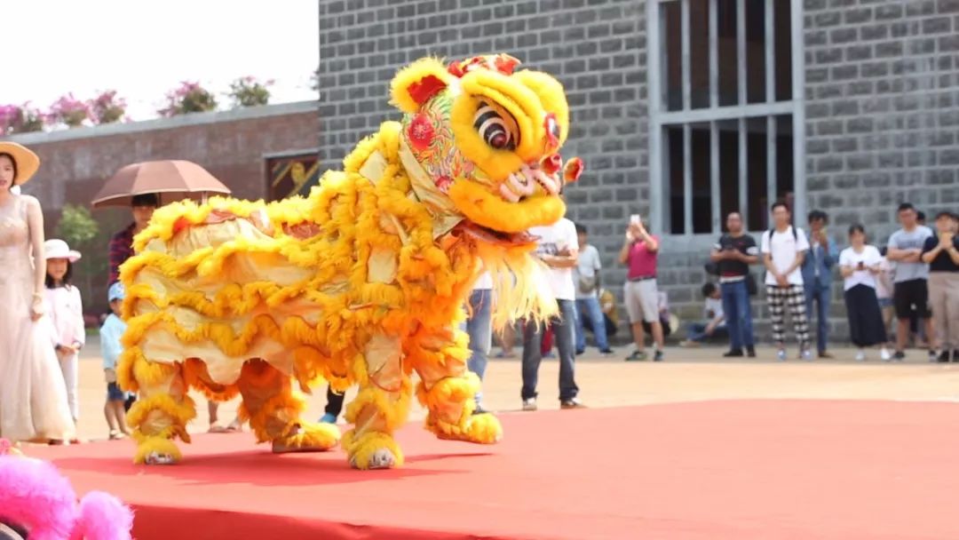 精彩的开幕式雷州市文广新局局长梁国良,龙门镇镇委书记薜强,雷州市