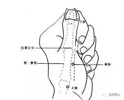 尚南撷萃 ·· 秋季咳嗽:鱼际穴,排泄体内肺经之气