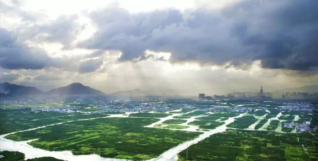 一期景点主要分布在五大区域: 南仙漫堤 行水三垟广场 五福源 榕树园