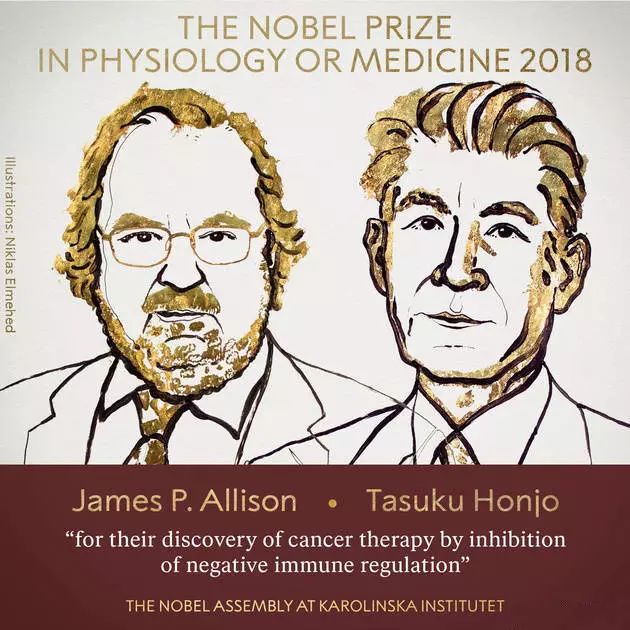 the nobel prize in physiology or medicine 2018