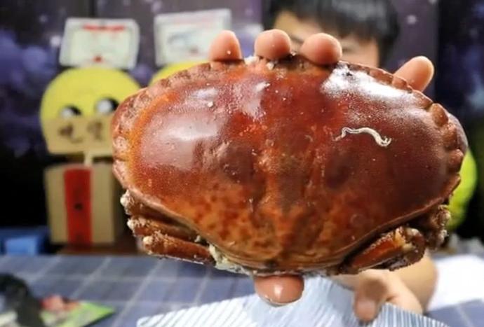 见识下90元一只的法国面包蟹,打开蟹壳有惊喜,满满的蟹黄真爽
