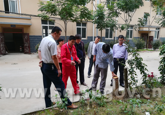 卢集镇gdp_尤集镇解圩小学生图片(2)