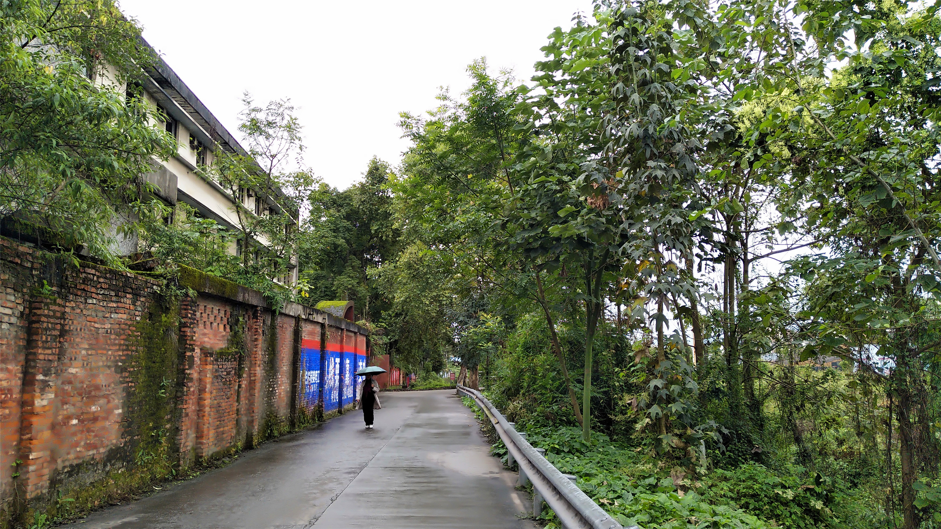 2018102半日游躲在都江堰蒲阳镇丹凤山南麓的川中胜景般若寺