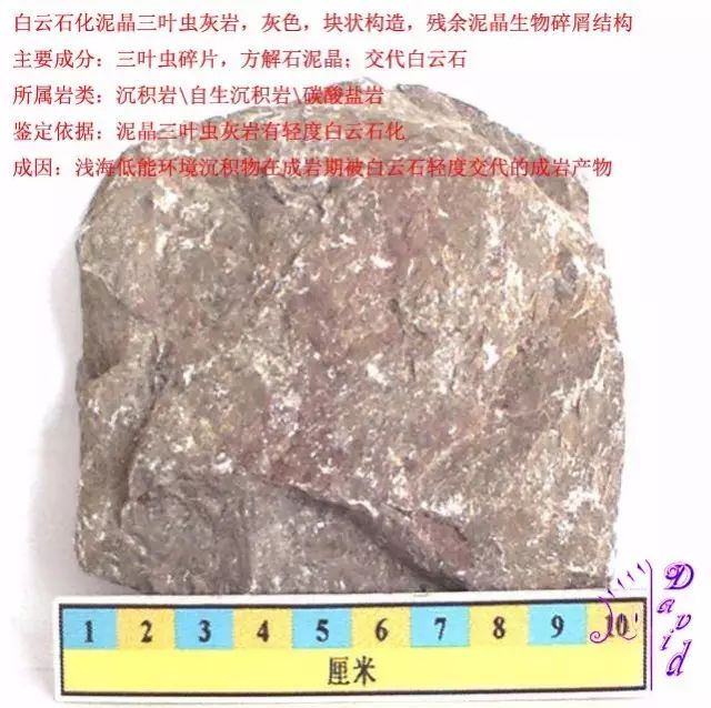 三大岩类190种岩石鉴定图册,看完你就是专家!_白云