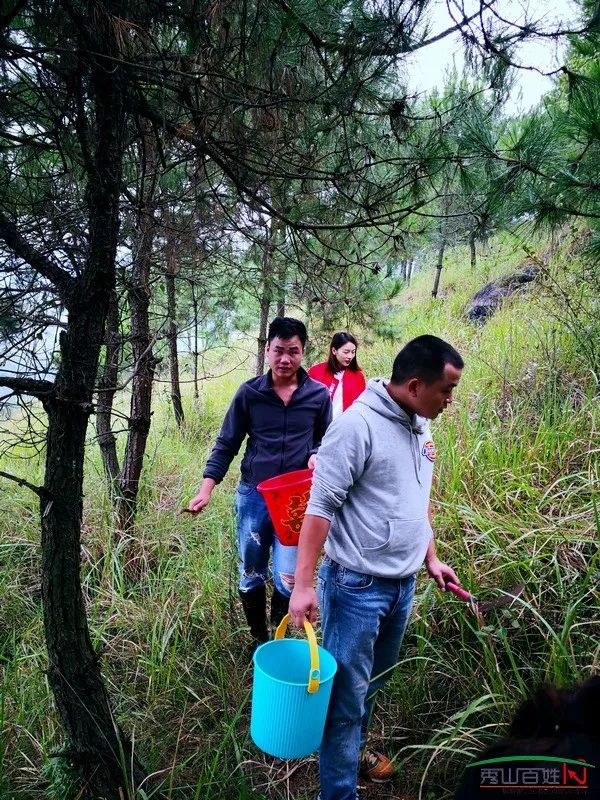 国庆长假,不如来一次秀山捡香菌