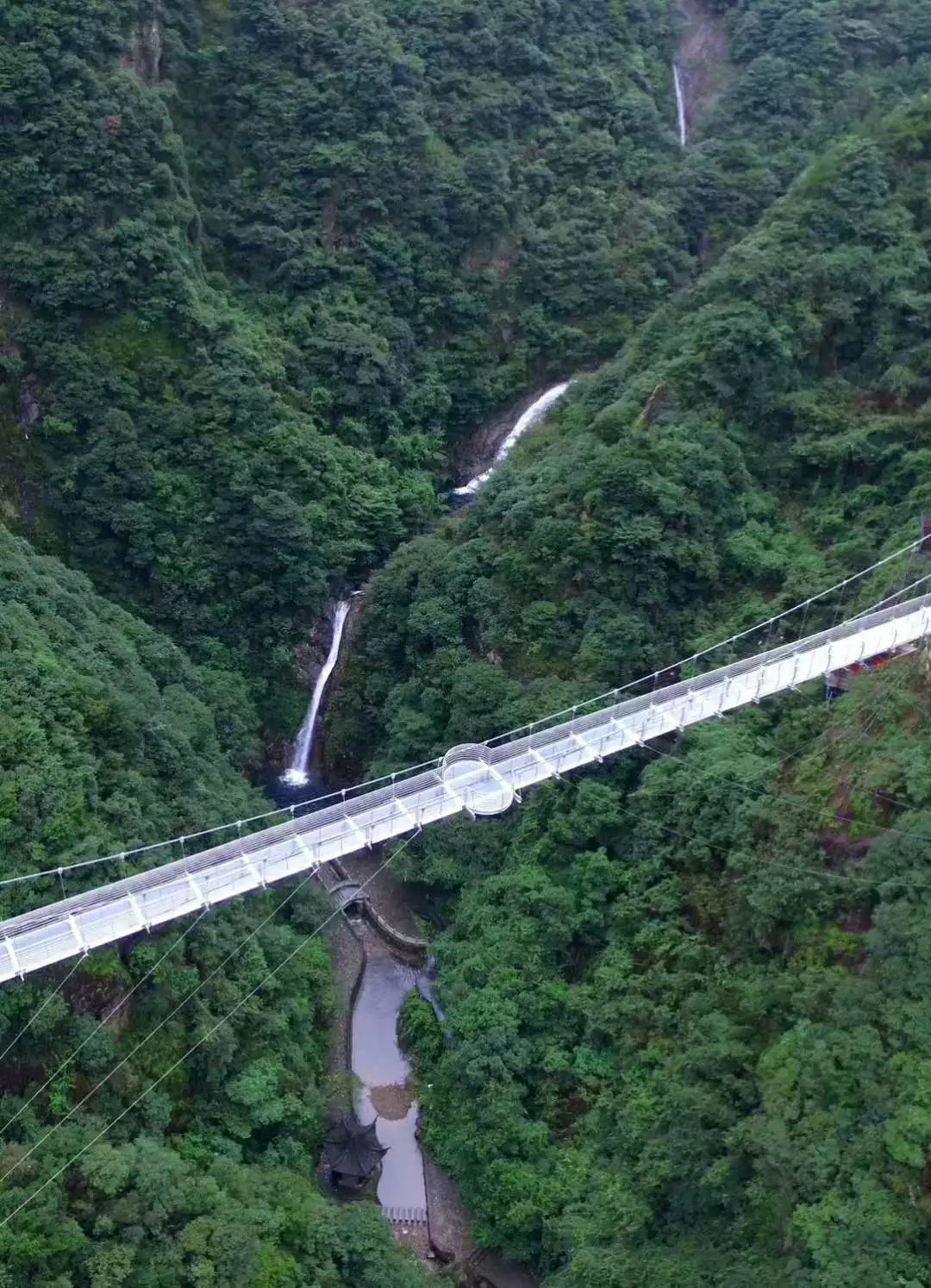 国庆特惠游宁波五龙潭水景7d玻璃桥玻璃栈道浙东大竹海景区网红粉黛乱