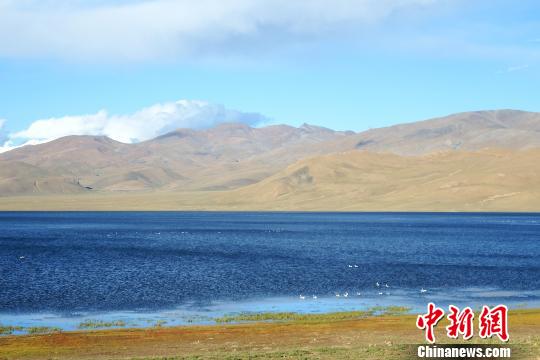 西藏山南市措美县哲古措风光.活动方供图