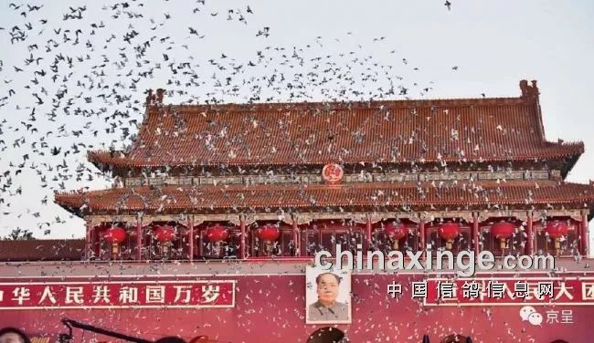 昌盛的和平鸽当国旗升上旗杆顶端的一刹那五星红旗与朝阳同步升起早上