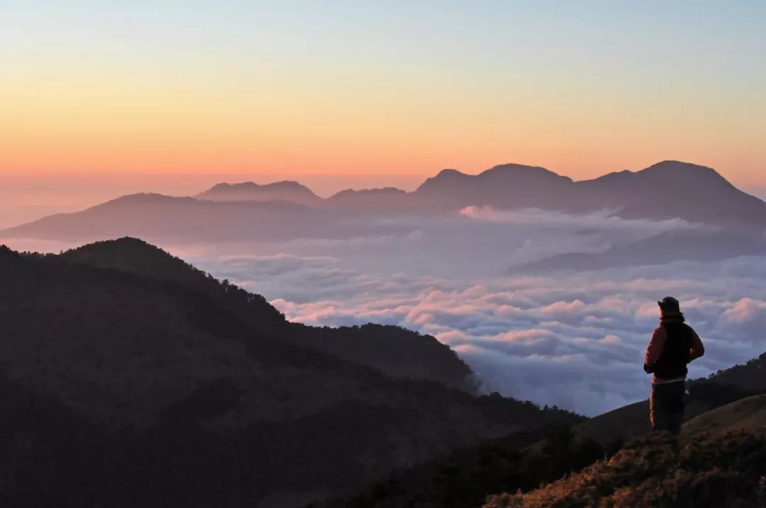 去山中,听自然万物吐露万千声响 | 在家旅行vol.