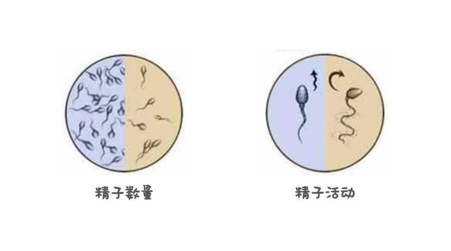 禁欲的原理_端午节 五毒月辟邪禁欲原理