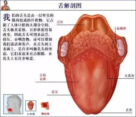 人体的衰老死亡,就是经络不断堵塞的过程,看完吓一跳!