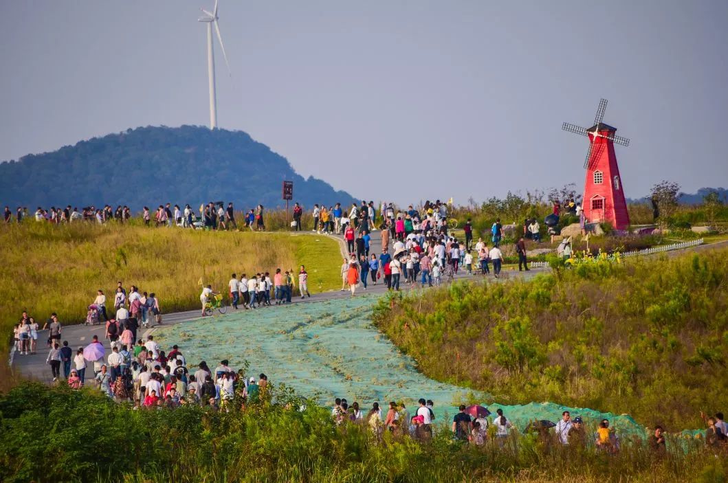 三瓜公社 三瓜公社可能有人没听过,但说起巢湖郁金香高地应该会让你