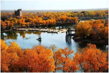 【2018喀什胡杨节】巴楚县旅游局局长吴松青:来巴楚红海景区看胡杨