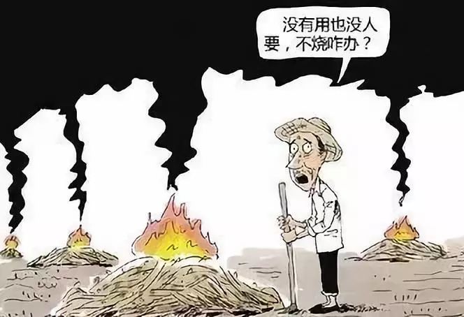 【重要通告】肃宁县人民政府关于禁止秸秆露天焚烧的通告(附相关法规)