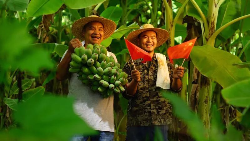 喜迎广西壮族自治区60周年宣传片出炉!