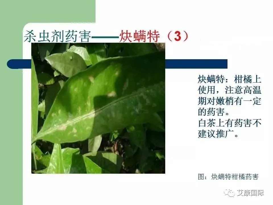 农药药害高清图谱(史上最全版)