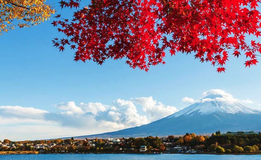 11月日本赏枫攻略 这5大地区风景独好 红叶