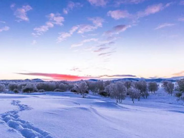 在千里冰封尽情飞驰在万里雪飘中撒泼打滚让你尽享魅力坝上北国风光