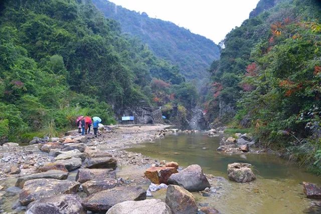 五指峰景区图为游客国庆节登齐云山 王艺霖 郭老师 摄国庆假期,五指峰