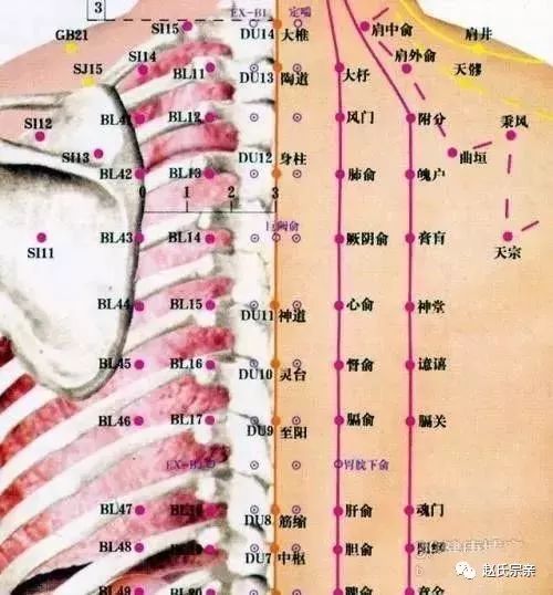 三百六十穴定位速记歌诀!人人都该收藏