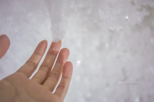 经不住诱惑伸手触摸了凝结的雪花,指尖沁冷入骨,雪花却因为水的性质而