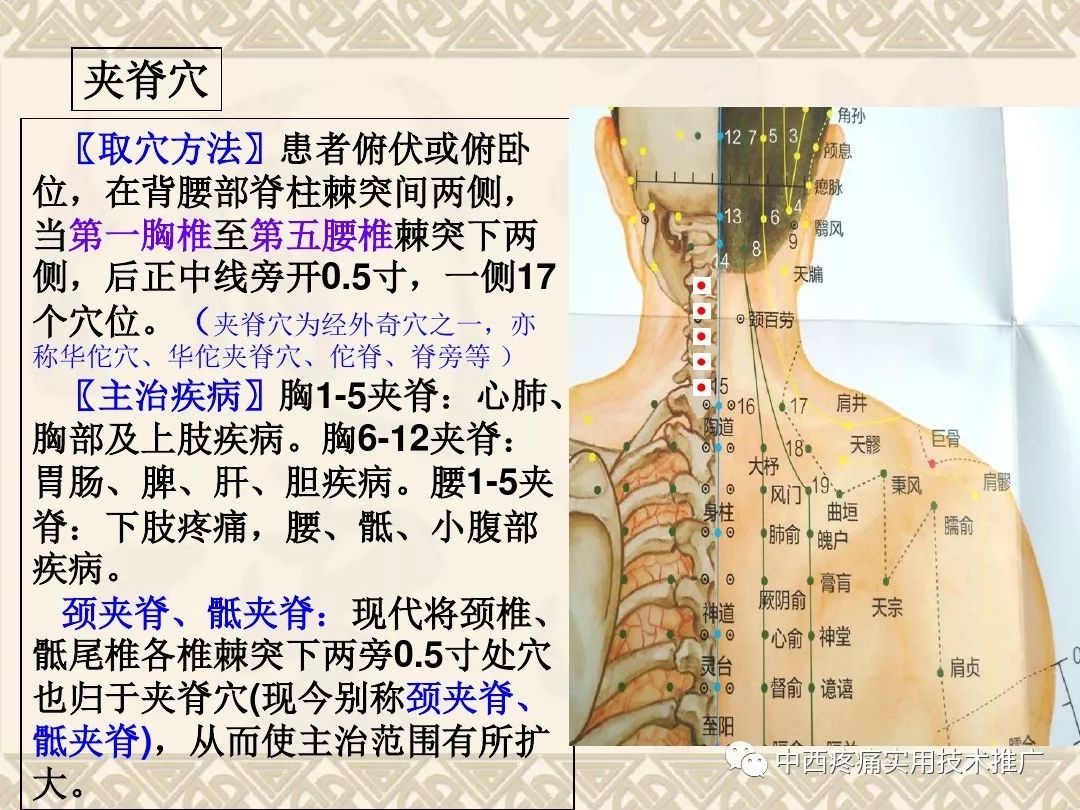 颈肩腰腿疼穴位解析