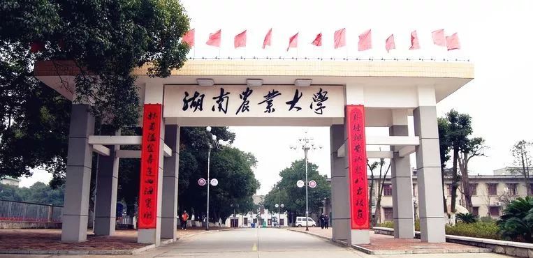 招生湖南农业大学2019年会计硕士mpacc招生简章