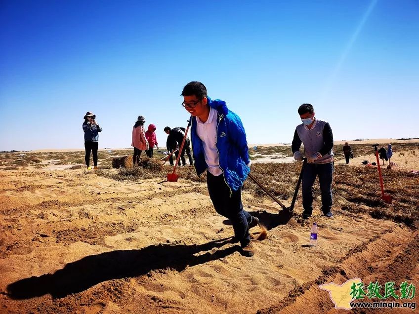 是个好日子,风和日丽,在甘肃省民勤县昌宁镇四方墩生态林基地的沙丘上