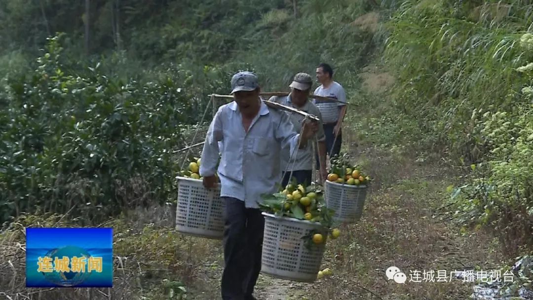 赖源乡人口_赖源乡郭地村(3)