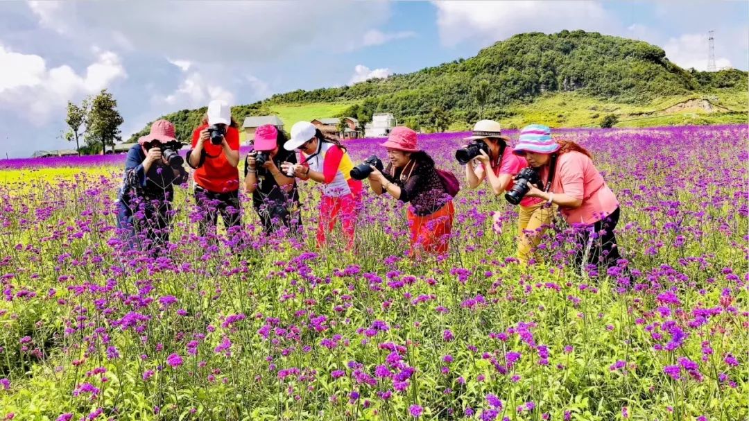 野鸡坪花海最后祝您及您的家人,好友在野玉海有一个愉悦的旅程!