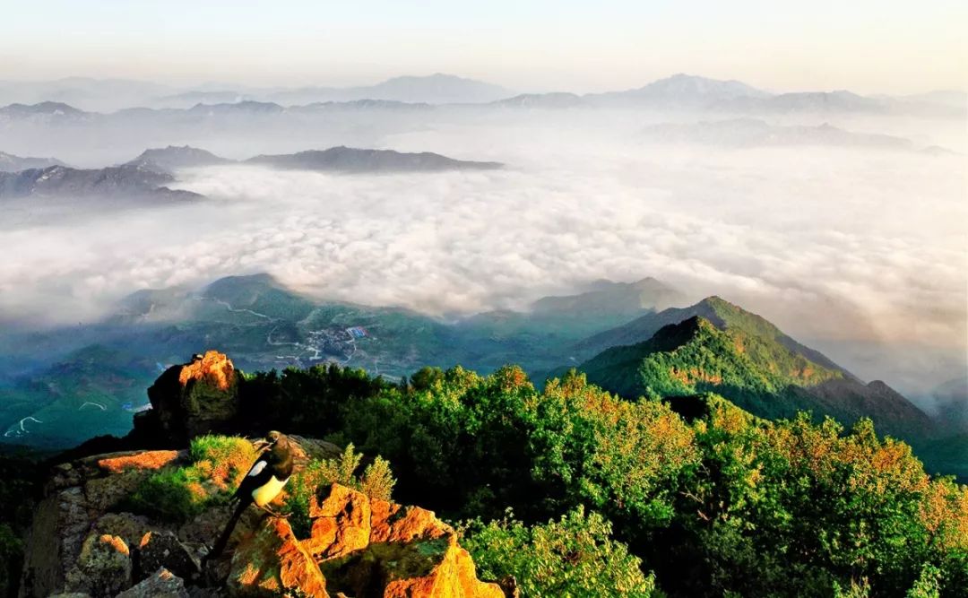 北京百花山旅游景区