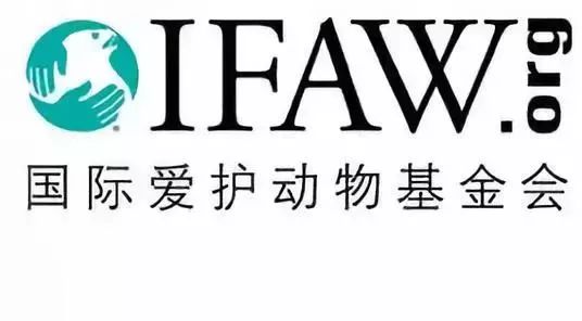 2,国际爱护动物基金会(ifaw)