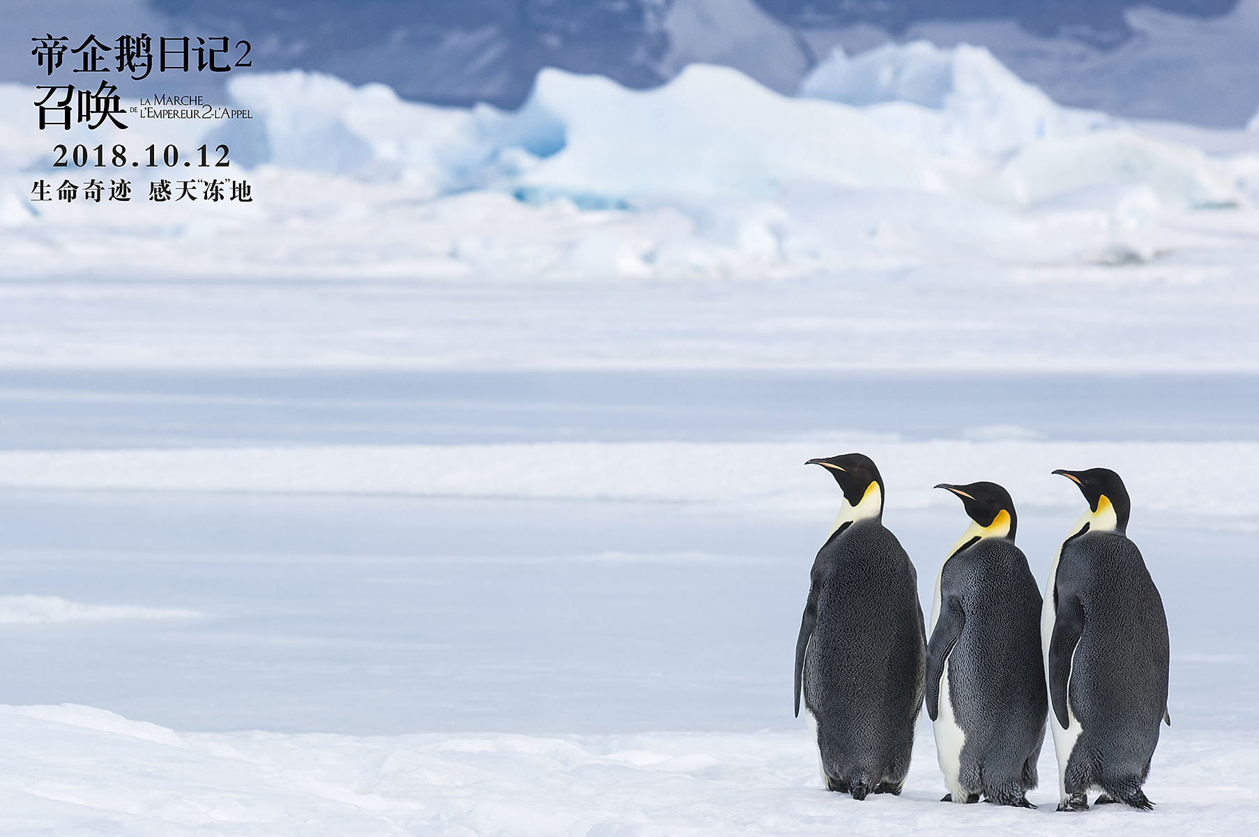 《帝企鹅日记2:召唤》承接了第一部,围绕一群在南极极端天气中勇敢