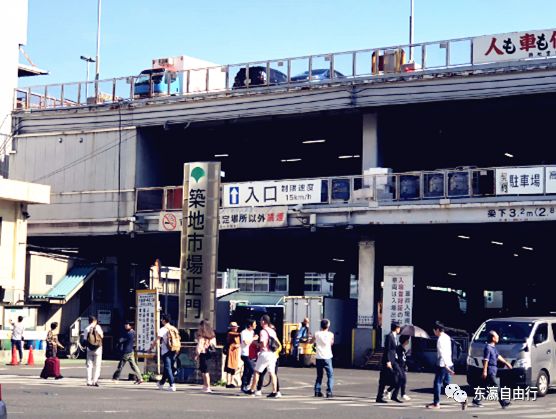 东京筑地市场 没了 最后的营业日 居然是这样 丰州