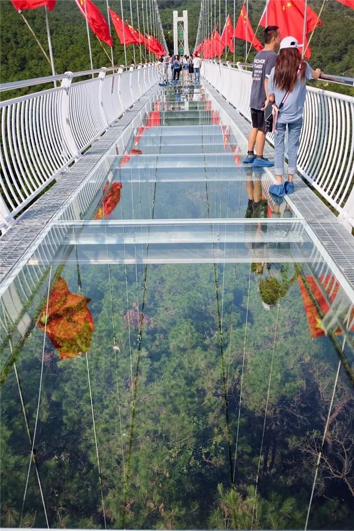 玻璃股份】文化玻璃项目分享——佛山高明盈香生态园 凌云飞渡玻璃桥