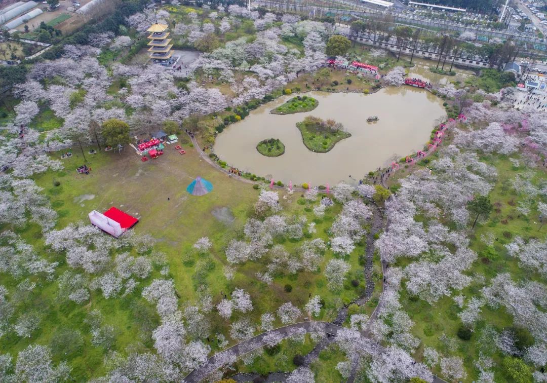 湖北监利县人口_湖北荆州监利县地图