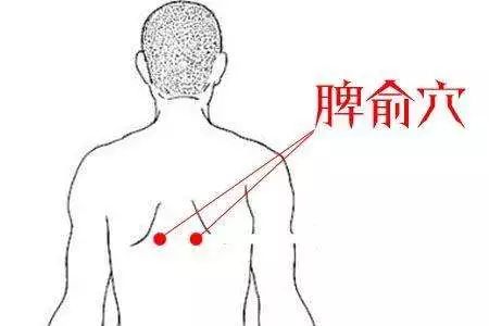 方法:脾俞穴在第11胸椎棘突下,旁开1.5寸处.