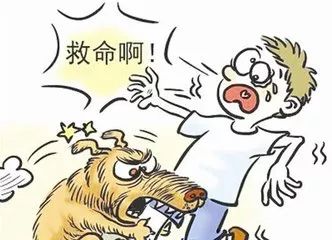 【医学科普】男孩被狗咬13天后去世,难道光打狂犬病疫苗不够吗?