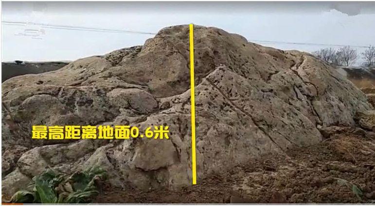 《寿光县志》记载:县城西南8公里孙家集与马家庄之间,有一山石