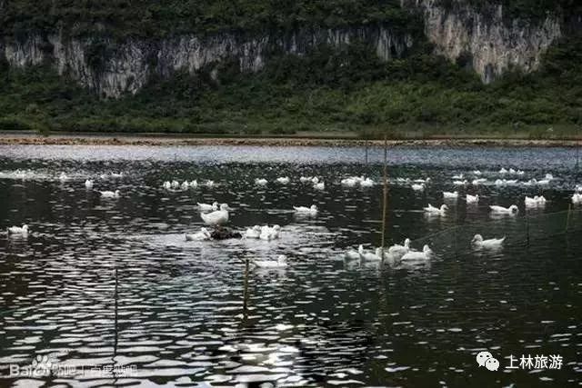 上林县婚纱_上林县民族中学图片