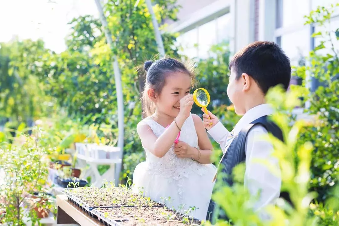 自然教育生态幼儿园如何营造