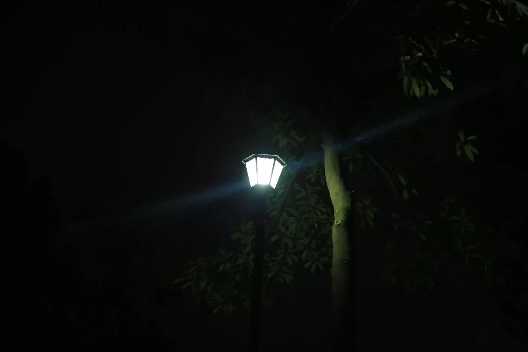 黑夜中的排排路灯,孤零零立在马路边,仿佛在诉说什么,又仿佛在照耀