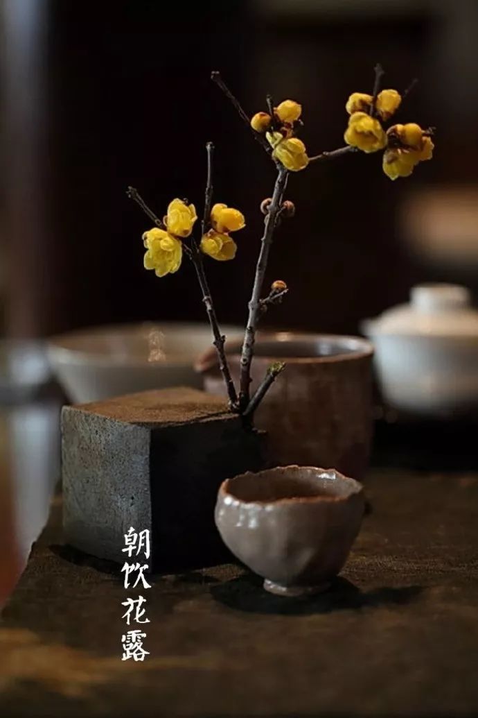 寒露与重阳节接近,此时菊花盛开,为除秋燥某些地区有饮"菊花酒"的